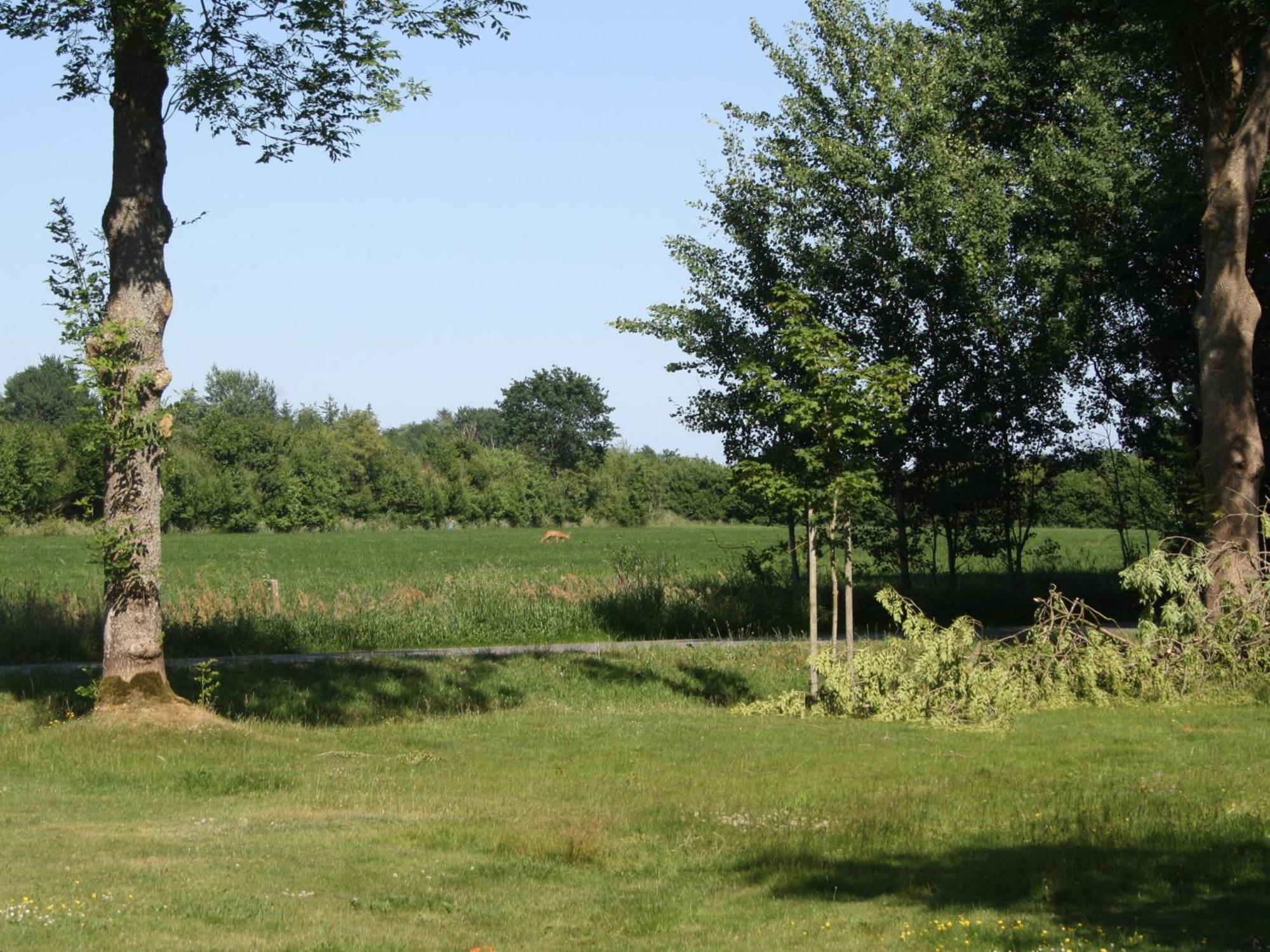 Detjens - Fewo In Ruhiger Lage Mit Terrasse Und Garten Ellingstedt Esterno foto